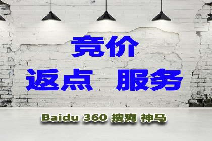 电商行业SEM运营的挑战与成功案例